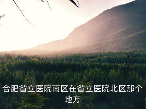 合肥省立醫(yī)院南區(qū)在省立醫(yī)院北區(qū)那個地方