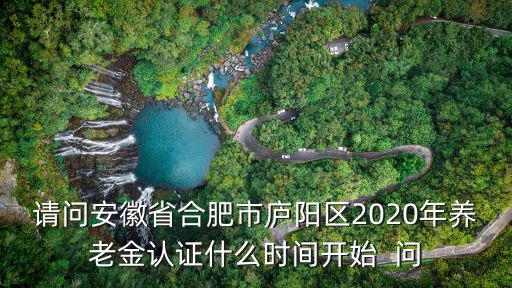 請問安徽省合肥市廬陽區2020年養老金認證什么時間開始  問
