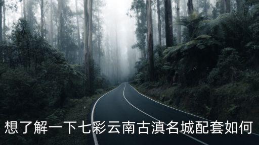 想了解一下七彩云南古滇名城配套如何