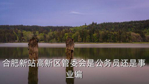 合肥新站高新區(qū)管委會是公務員還是事業(yè)編