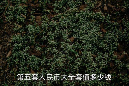 第五套人民幣大全套值多少錢