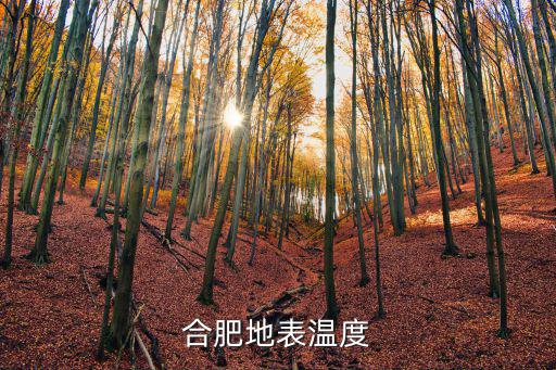 合肥氣溫，合肥什么氣候