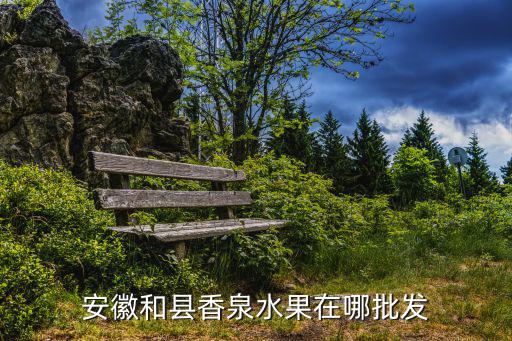 和縣香泉，和縣香泉和半湯哪個好