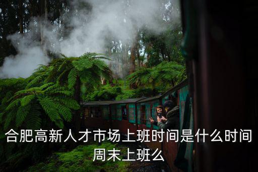 合肥高新區(qū)人才網(wǎng)，合肥高新人才市場(chǎng)上班時(shí)間是什么時(shí)間周末上班么