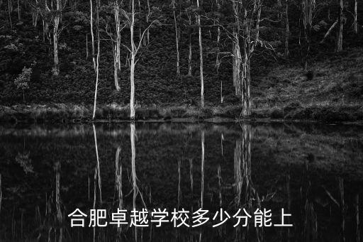 合肥卓越中學，合肥卓越學校多少分能上