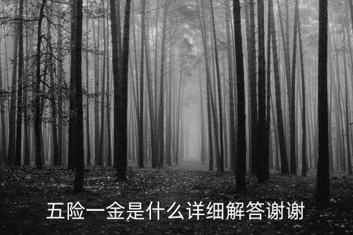 五險一金是什么詳細解答謝謝