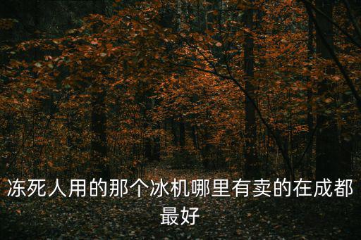 冰墩墩哪里有賣，凍死人用的那個冰機哪里有賣的在成都最好