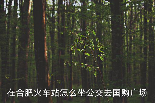 在合肥火車站怎么坐公交去國購廣場