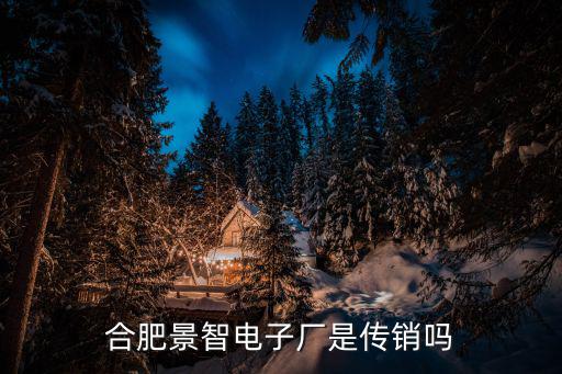 合肥皖智中學，合肥皖智高復學校有分校嗎