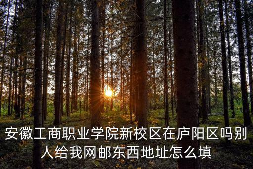 安徽工商職業學院新校區在廬陽區嗎別人給我網郵東西地址怎么填