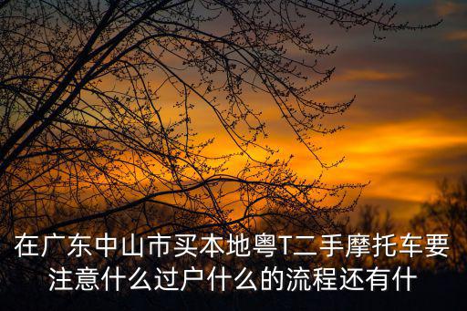 在廣東中山市買本地粵T二手摩托車要注意什么過戶什么的流程還有什
