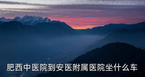 肥西中醫(yī)院到安醫(yī)附屬醫(yī)院坐什么車