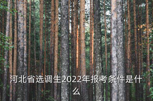 河北選調，河北省選調生2022年報考條件是什么