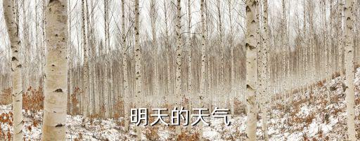 明天的天氣