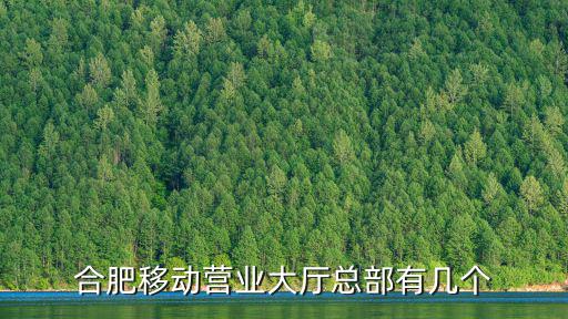 合肥移動營業大廳總部有幾個