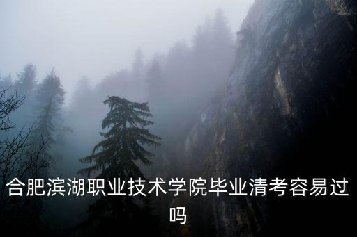 合肥濱湖職業技術學院畢業清考容易過嗎