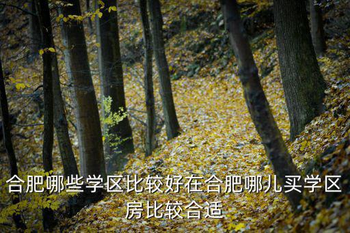 合肥哪些學(xué)區(qū)比較好在合肥哪兒買學(xué)區(qū)房比較合適
