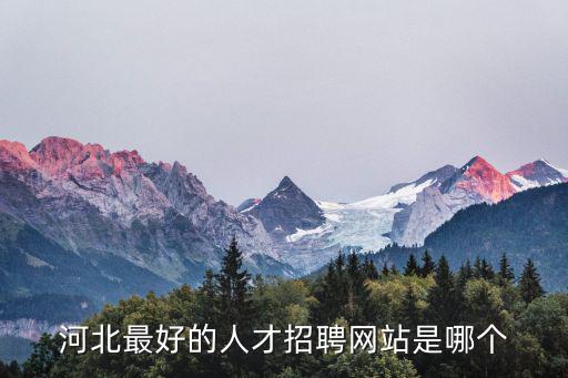 河北最好的人才招聘網站是哪個