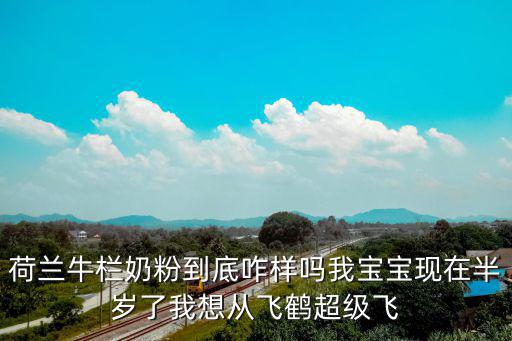荷蘭牛欄奶粉到底咋樣嗎我寶寶現在半歲了我想從飛鶴超級飛