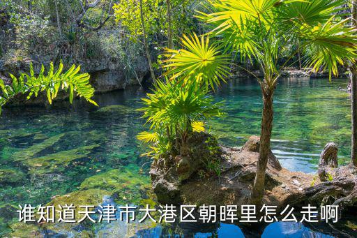 春暉里，的春暉括號里填什么合適