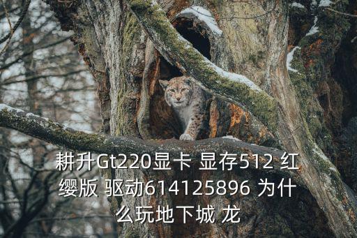 耕升Gt220顯卡 顯存512 紅纓版 驅(qū)動614125896 為什么玩地下城 龍