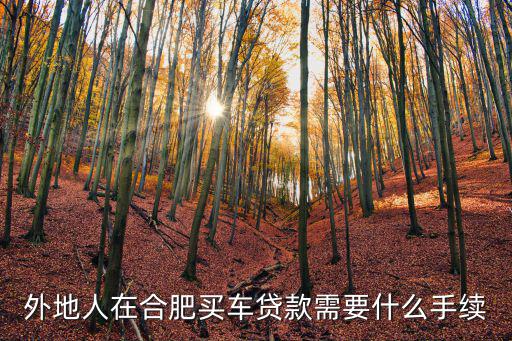 外地人在合肥買車貸款需要什么手續