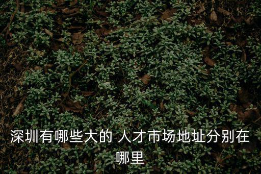 深圳有哪些大的 人才市場(chǎng)地址分別在哪里