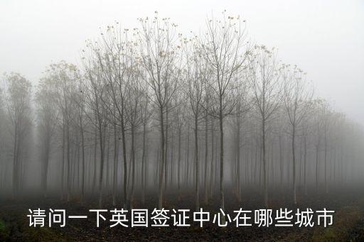 請問一下英國簽證中心在哪些城市