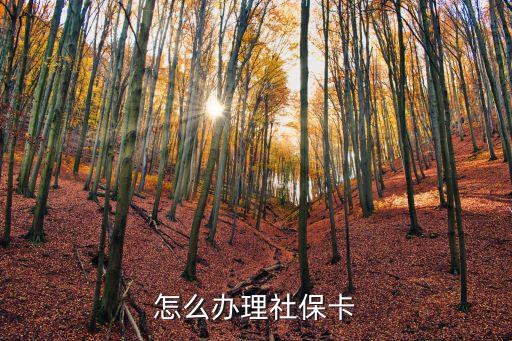 怎么辦理社保卡，社保卡怎么辦理
