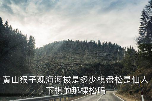 黃山猴子觀海，黃山猴子觀海海潑多少