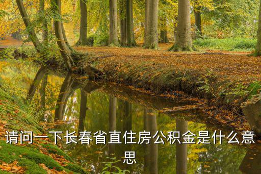 請問一下長春省直住房公積金是什么意思