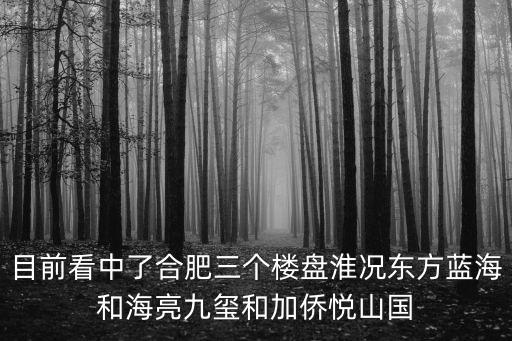 海亮九璽，海亮九璽怎么樣
