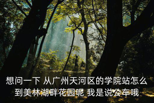 想問一下 從廣州天河區(qū)的學(xué)院站怎么到美林湖畔花園呢 我是說公車哦
