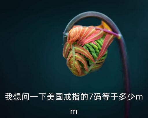 美國戒指尺寸，美國的50號尺寸的戒指日本多少號