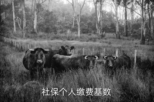 社保個人繳費基數