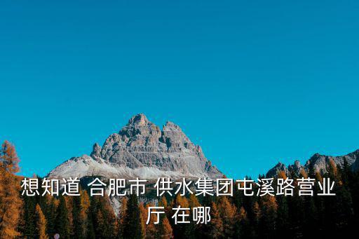 合肥供水集團有限公司，合肥供水集團一戶一表費用是多少