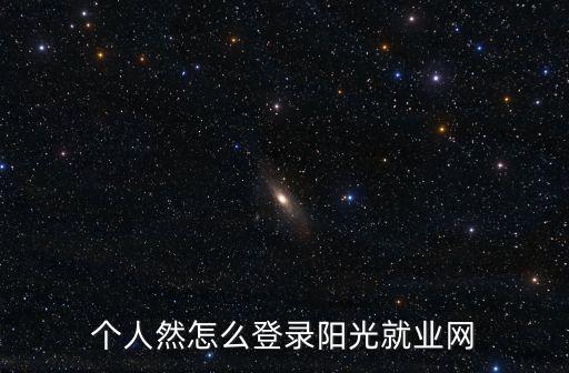 個人然怎么登錄陽光就業網