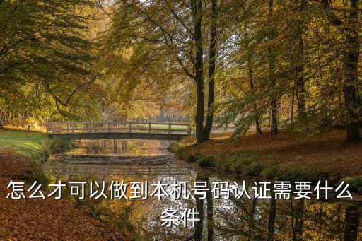 怎么才可以做到本機號碼認證需要什么條件