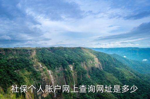 社保個人賬戶網上查詢網址是多少