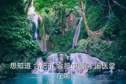 合肥國醫堂，想知道 合肥市 合肥中醫院 國醫堂 在哪