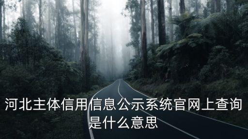 河北主體信用信息公示系統(tǒng)官網(wǎng)上查詢(xún)是什么意思