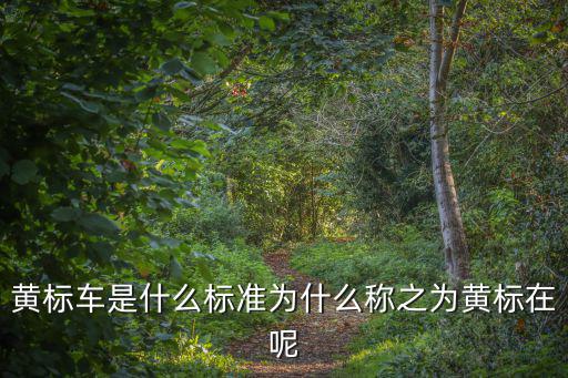 黃標(biāo)車是什么標(biāo)準(zhǔn)為什么稱之為黃標(biāo)在呢