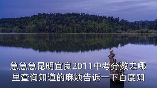 急急急昆明宜良2011中考分?jǐn)?shù)去哪里查詢知道的麻煩告訴一下百度知