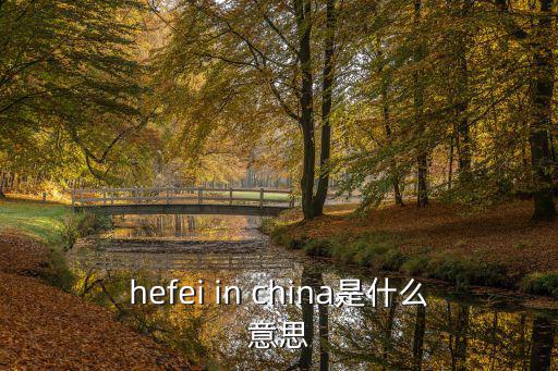 hefei in china是什么意思