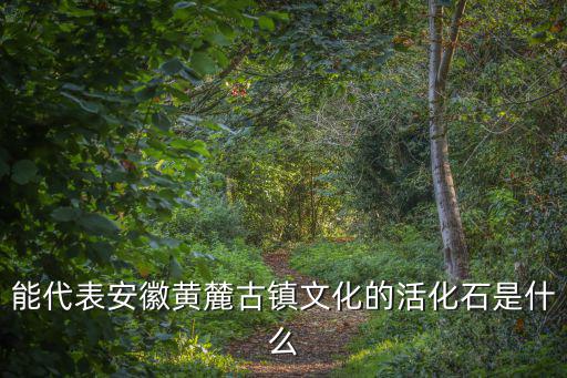 能代表安徽黃麓古鎮文化的活化石是什么
