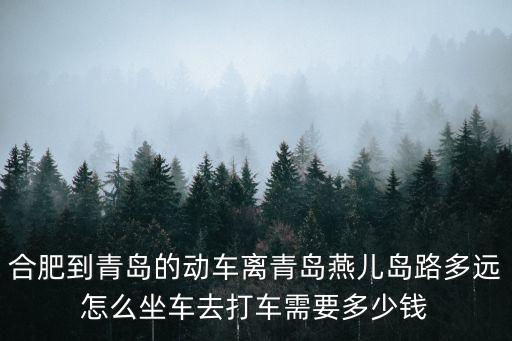 合肥到青島的動車離青島燕兒島路多遠(yuǎn)怎么坐車去打車需要多少錢