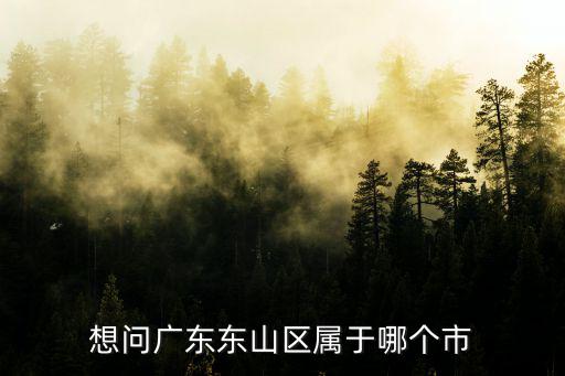 想問廣東東山區屬于哪個市