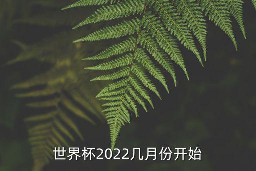 世界杯2022幾月份開始