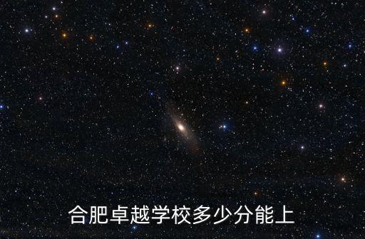 合肥卓越學(xué)校多少分能上