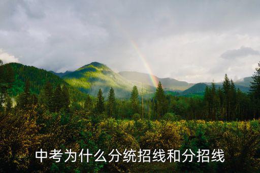 中考為什么分統招線和分招線